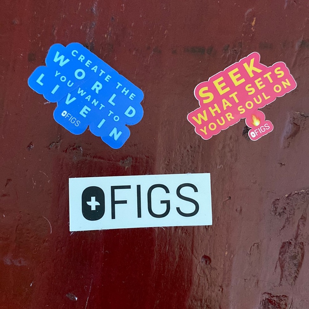 Set of 3 FIGS Stickers